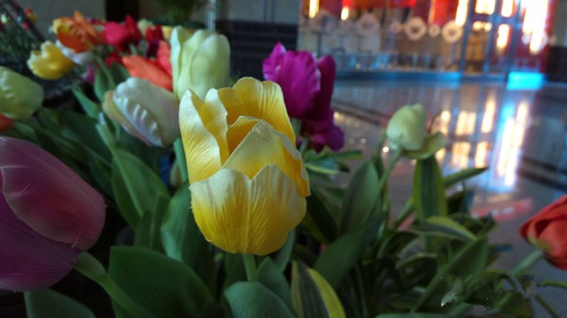 坚固外表细腻体验 青橙手机VOGA V1评测 