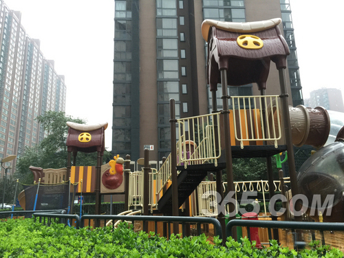 iphone6 plus拍照样张