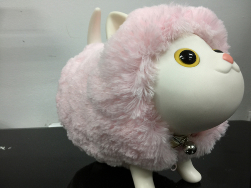 iphone6 plus拍照样张