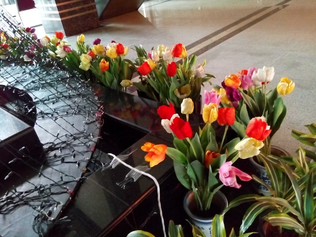 尖Phone:看性价比 TCL么么哒3N对小米4 