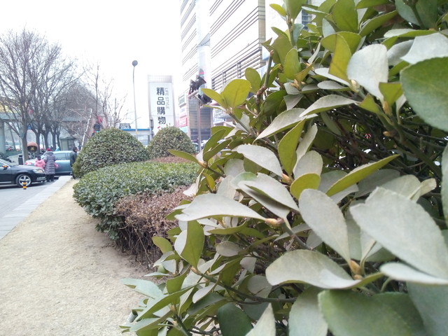 尖Phone:看性价比 TCL么么哒3N对小米4 