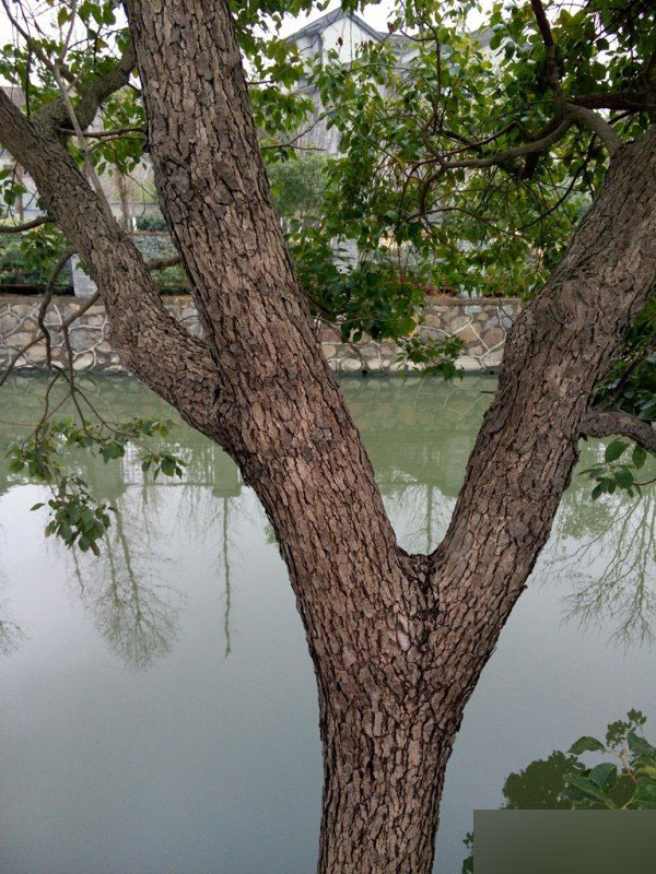 魅蓝Note深度评测视频