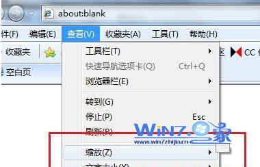 ie浏览器网页无法缩放大小