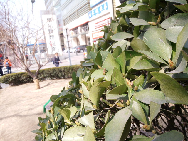 超级大深坑千万别发布 