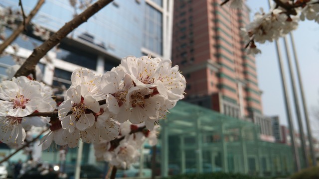 玩转手机摄影 nubia Z9 mini新品首测 