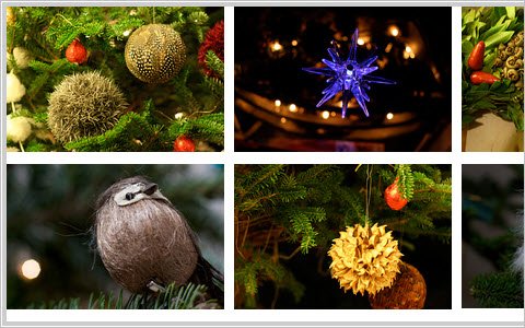 Css-008 in 50 Brilliant CSS3/JavaScript Coding Techniques