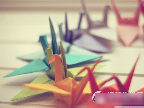 陌陌英文名字大全 陌陌英文网名1