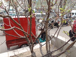 只是多2GB RAM? 大神F1极速版对比魅蓝 