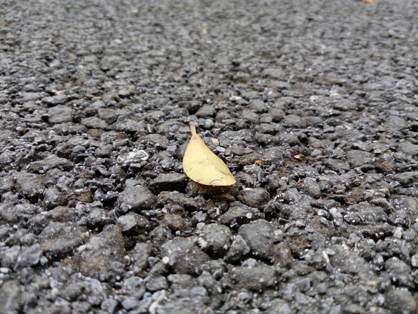 乐檬K3 Note标准版