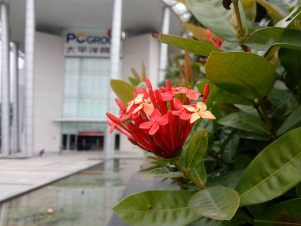 乐檬K3 Note标准版