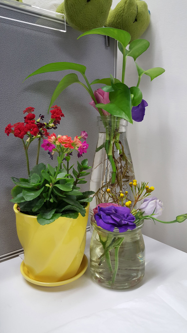 三星S6上手体验评测