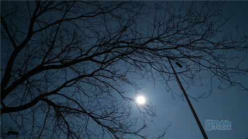 nubia Z9 Max、 (18)