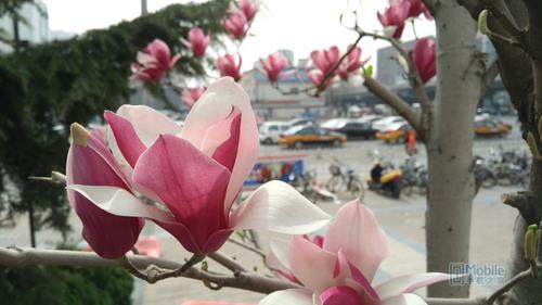 nubia Z9 Max样张-10