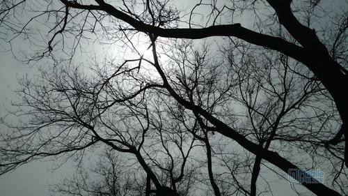 nubia Z9 Max样张-12