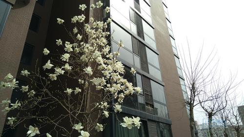 nubia Z9 Max样张-15