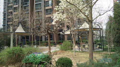 nubia Z9 Max样张-18