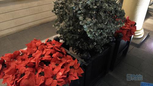 nubia Z9 Max样张-7