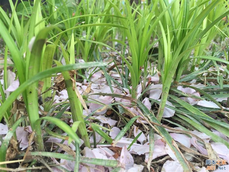 美颜效果到底如何？美图手机M4评测