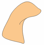 CorelDRAW绘制简笔卡通动物造型_脚本之家jb51.net网络转载