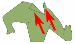 CorelDRAW绘制简笔卡通动物造型_脚本之家jb51.net网络转载