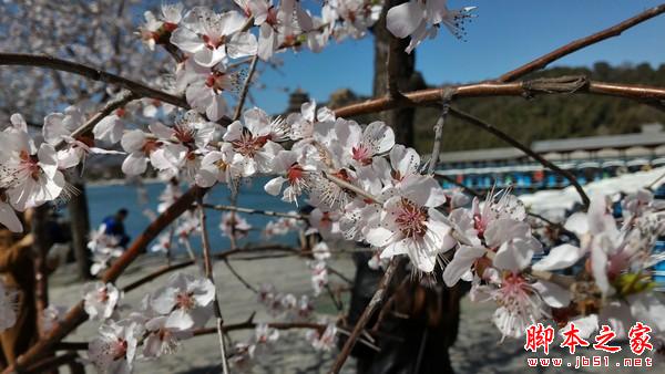 华为新旗舰P8首测 一款进步明显的作品 