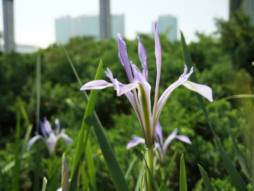 美图M4手机评测：小众另类 自拍一级棒 