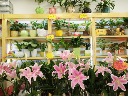 美图M4手机评测：小众另类 自拍一级棒 