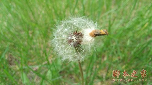 1600万像素摄像头样片解析_努比亚Z9第6张图