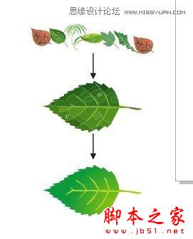 CorelDRAW解析网状填充运用教程,脚本之家