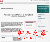 Flash Player软件教程 脚本之家