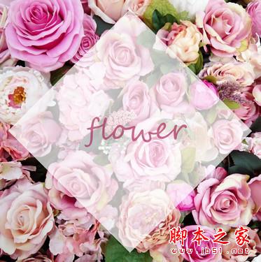 用OPPO N3去记录：有关花与少女的情节 