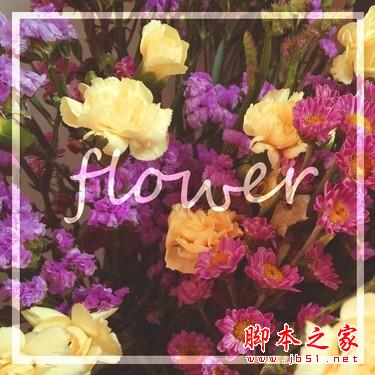 用OPPO N3去记录：有关花与少女的情节 