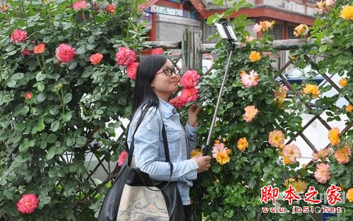 带上它去旅行 富图宝QP-520自拍杆体验 