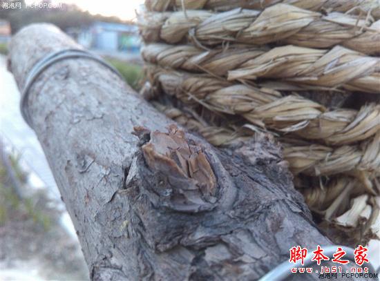 告别一天一充！千元TCL 续航+评测来啦 