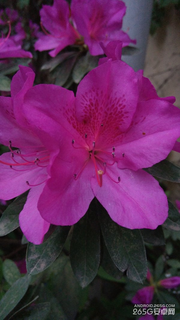 努比亚Z9 mini全面评测