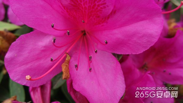 努比亚Z9 mini全面评测