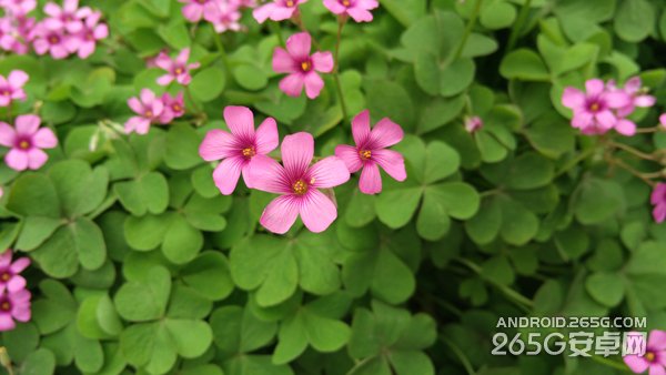 努比亚Z9 mini全面评测