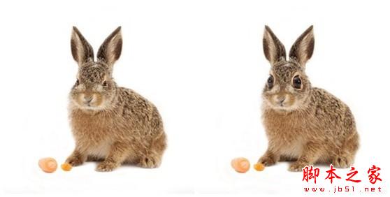 美图秀秀六大美容功能 打造完美新年照