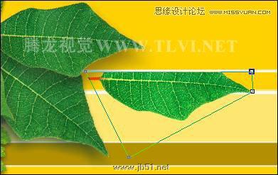 CorelDRAW设计环保宣传海报教程,PS教程,思缘教程网