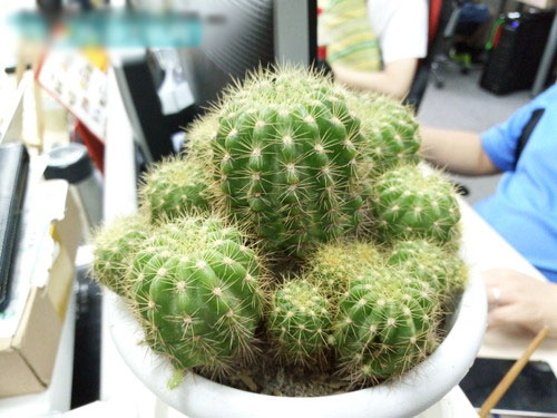 拍照：画质有待提升