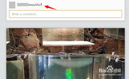 instagram网页版怎么登陆使用