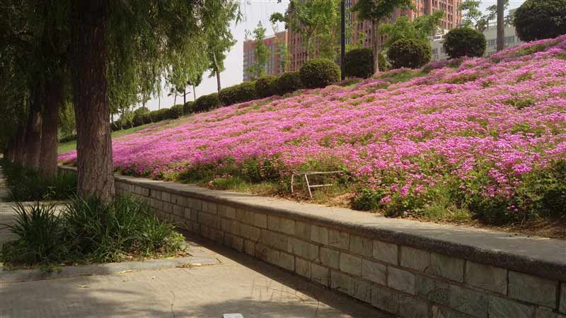 5.5寸2K看片神器!HTC One E9+评测