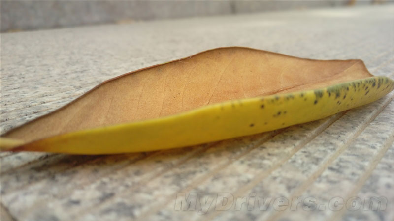 5.5寸2K看片神器!HTC One E9+评测