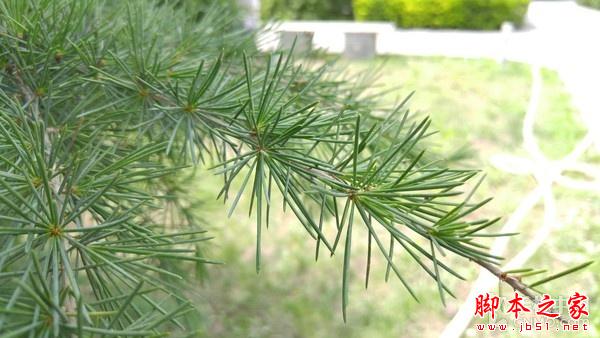 F1.8超大光圈新旗舰 LG G4行货版评测