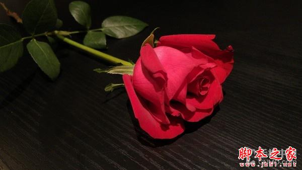 F1.8超大光圈新旗舰 LG G4行货版评测