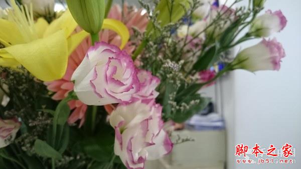 骁龙810防水旗舰 索尼Xperia Z3+评测 