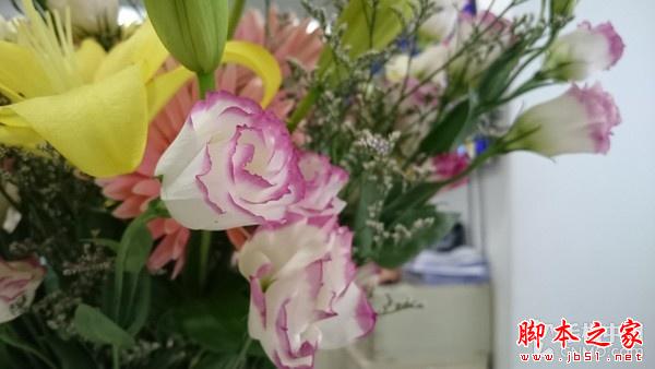 骁龙810防水旗舰 索尼Xperia Z3+评测 