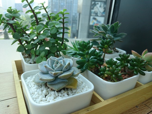 OneSony完成体 索尼Xperia Z3+ Dual评测 