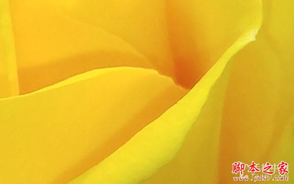 16MP像素F1.8光圈镜头 LG G4拍照体验 