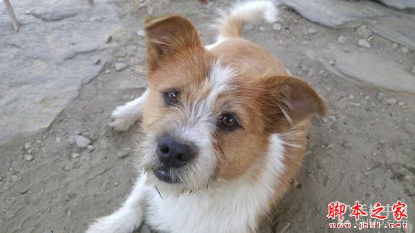 16MP像素F1.8光圈镜头 LG G4拍照体验 